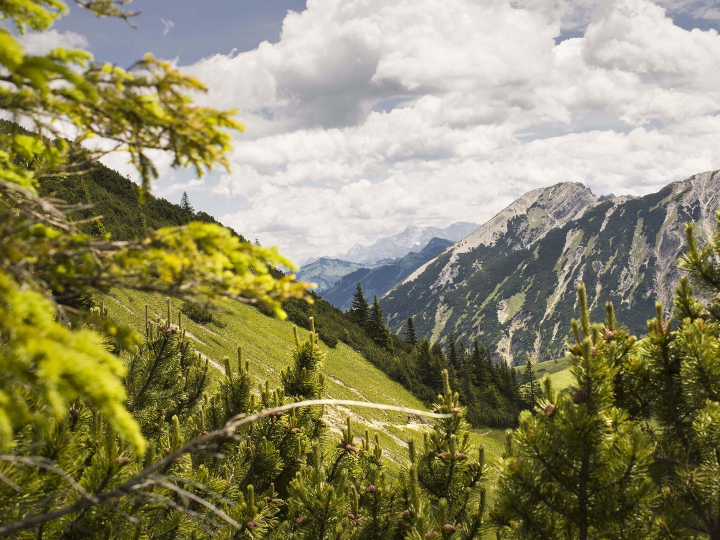 Hotels der Lerch Genusswelten Hotels der Lerch Genusswelten